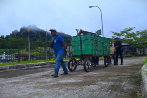 Menembus Pasar Dunia, Inilah Deretan Komoditas Unggulan Kalbar yang Melintasi PLBN Entikong Selama 2025
