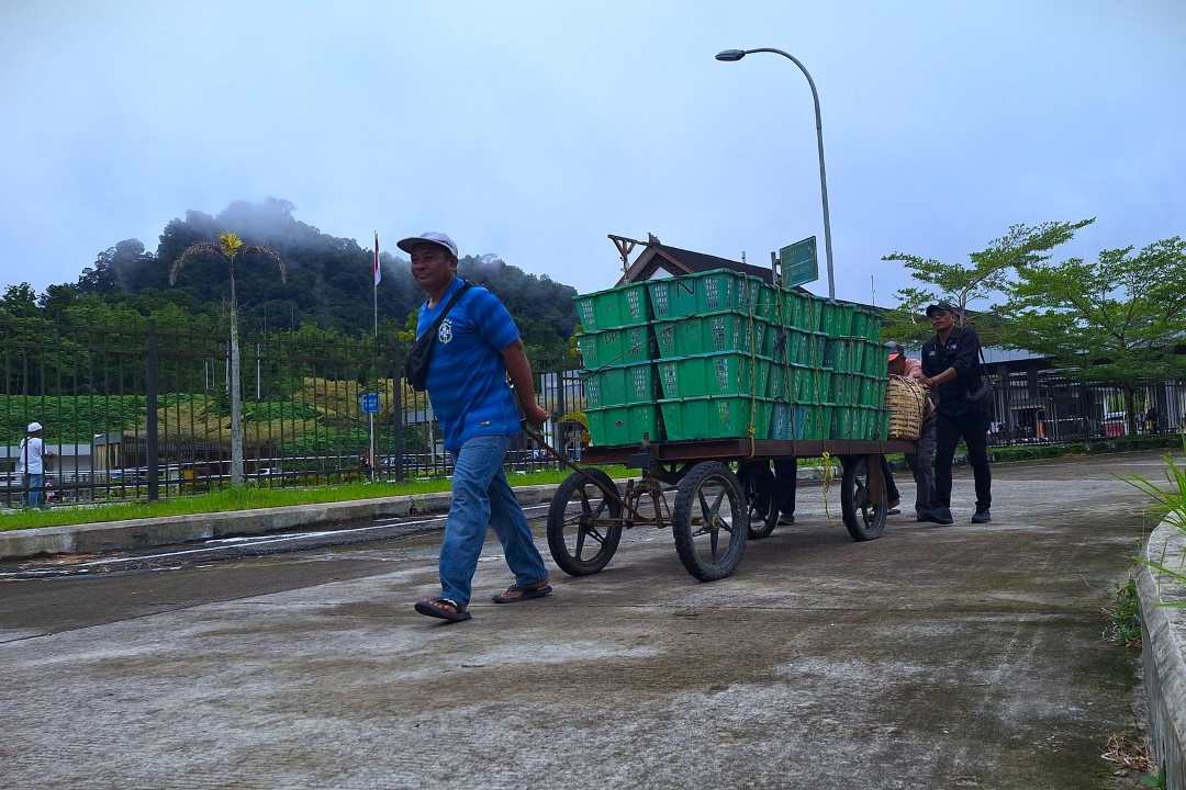 Menembus Pasar Dunia, Inilah Deretan Komoditas Unggulan Kalbar yang Melintasi PLBN Entikong Selama 2025