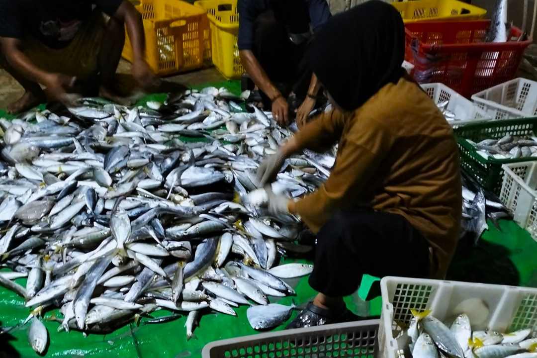 Rahasia Memilih Ikan Segar ala KKP dan Cara Mengolahnya Agar Aman bagi Keluarga