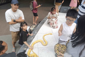 Komunitas Independent Exotic Pets Edukasi Satwa di Mal Gaia Kubu Raya