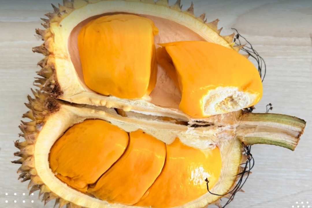 Ekspor 103 Ton Pekawai via PLBN Entikong: Primadona Baru Pengganti Durian