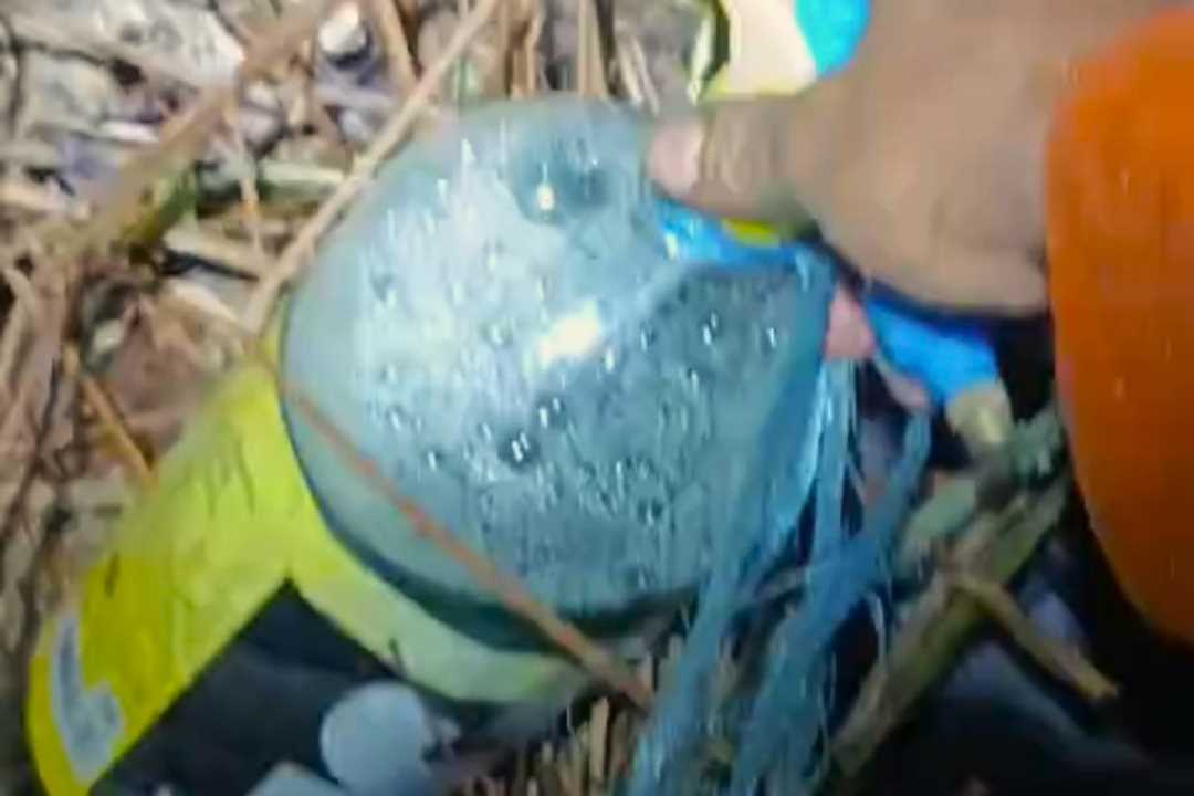 Pelaku Pembakar Lahan di Parit H. Husein II Kabur, BPBD Temukan Barang Bukti Botol Berisi Bensin