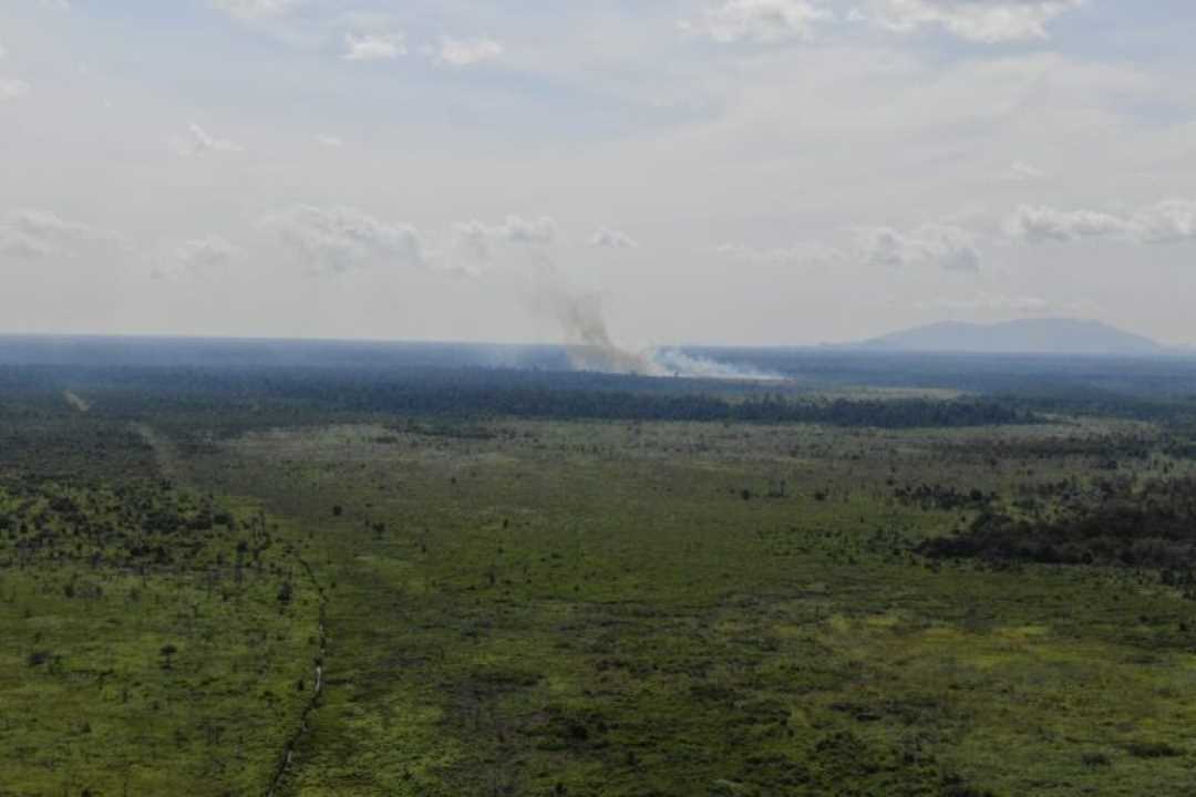 Dikepung Kemarau Ekstrem, Hutan Produksi Pulau Maya Terbakar di Medan Sulit