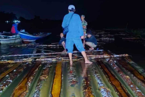 Operasi Subuh di Sungai Pawan Ketapang: Penyelundupan 600 Kayu Bulat Digagalkan