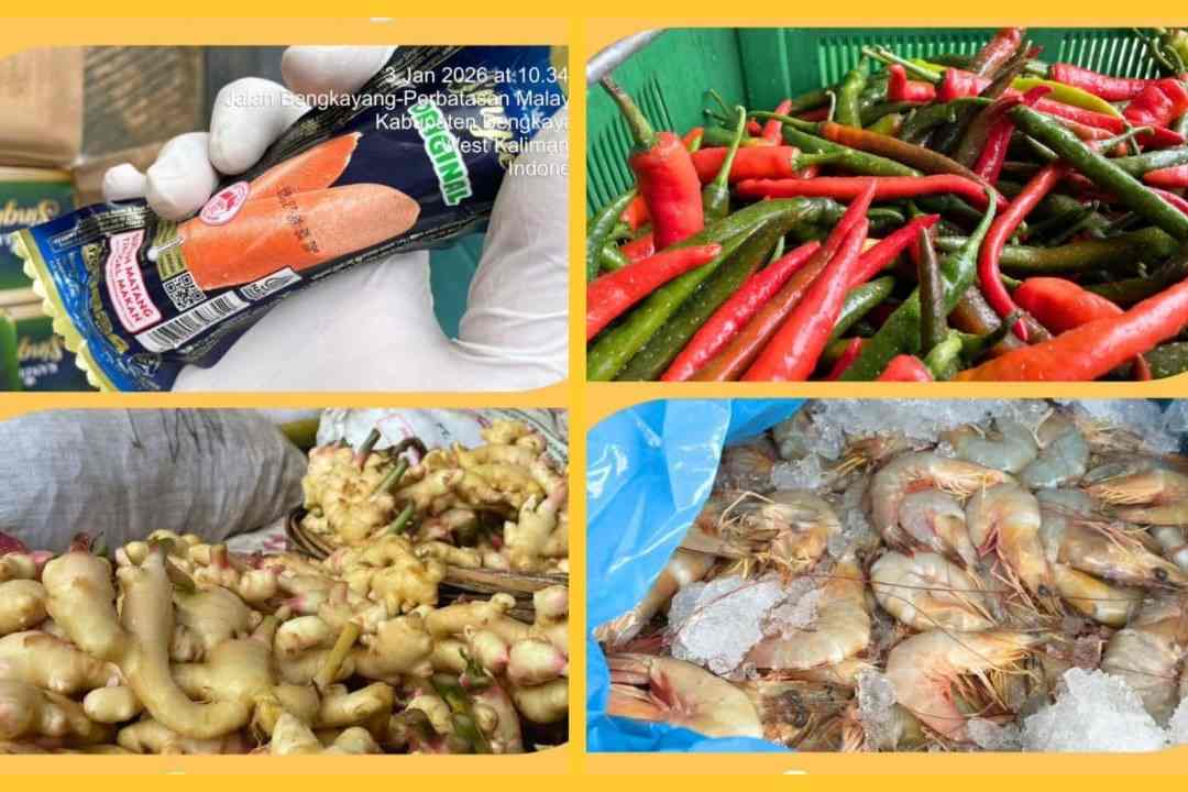 Hampir 10 Juta Kg Komoditas Lolos: Karantina Kalbar Catat Rekor Ekspor Fantastis 2025 di PLBN Jagoi Babang