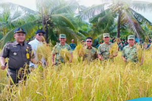 Harga Gabah Rp6.500, Bupati Satono Ingatkan Petani Jangan Mau Jual Murah ke Tengkulak