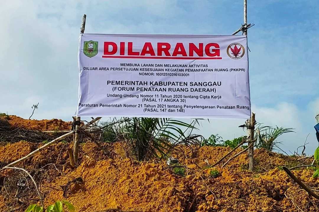 Nekat Tanam Sawit di Luar Izin, Lahan PT CUT Disegel Sekda Sanggau: Terancam Denda Rp10 Miliar!