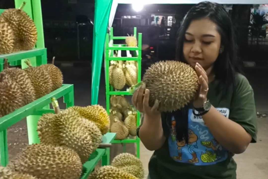 Anti-Zonk! Cara Memilih Durian Berkualitas ala Pro: Awam Pun Pasti Bisa Bedakan Manis Pahit Manis Legit