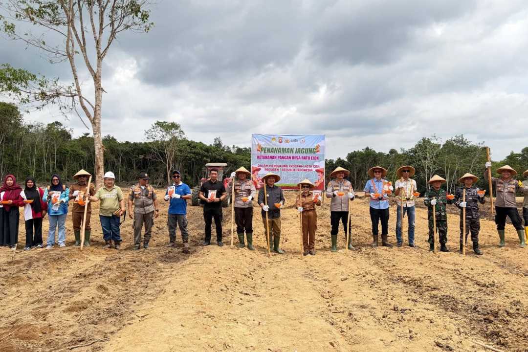 Ratu Elok Jadi Desa Pertama di Manis Mata yang Inisiasi Tanam Jagung Ketahanan Pangan